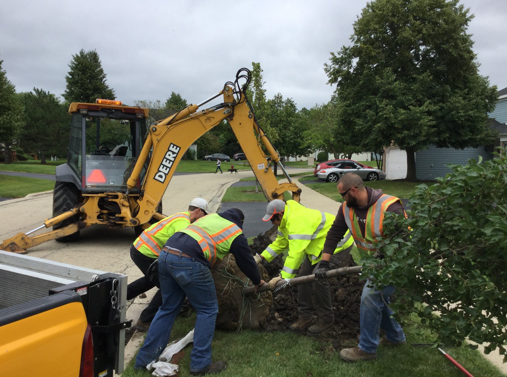 Planting Tree Public Works